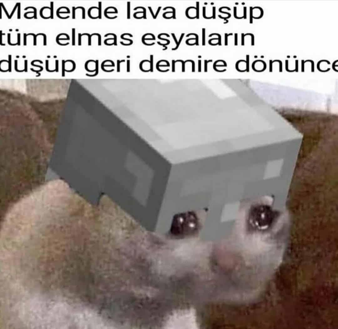 qXLOYz.jpg