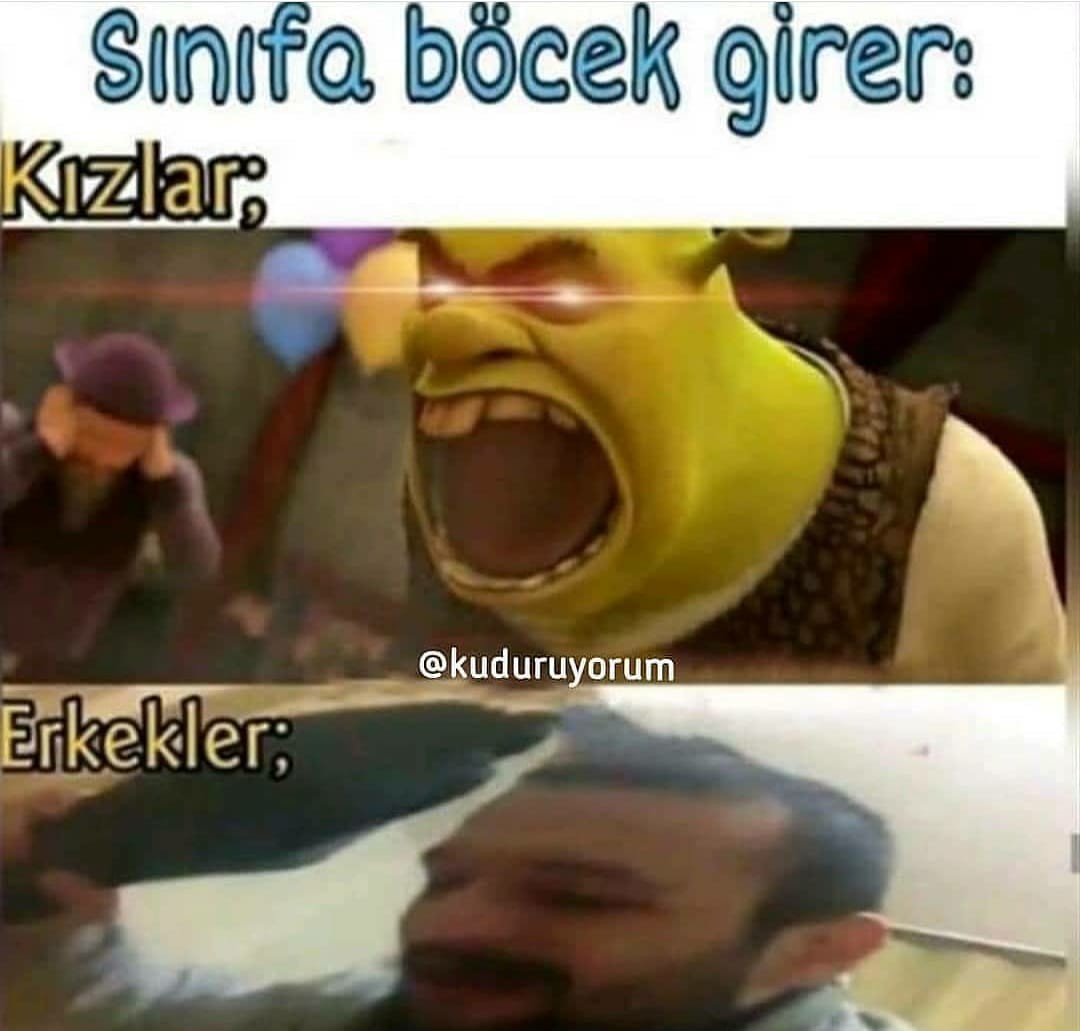 j0Zb5Q.jpg