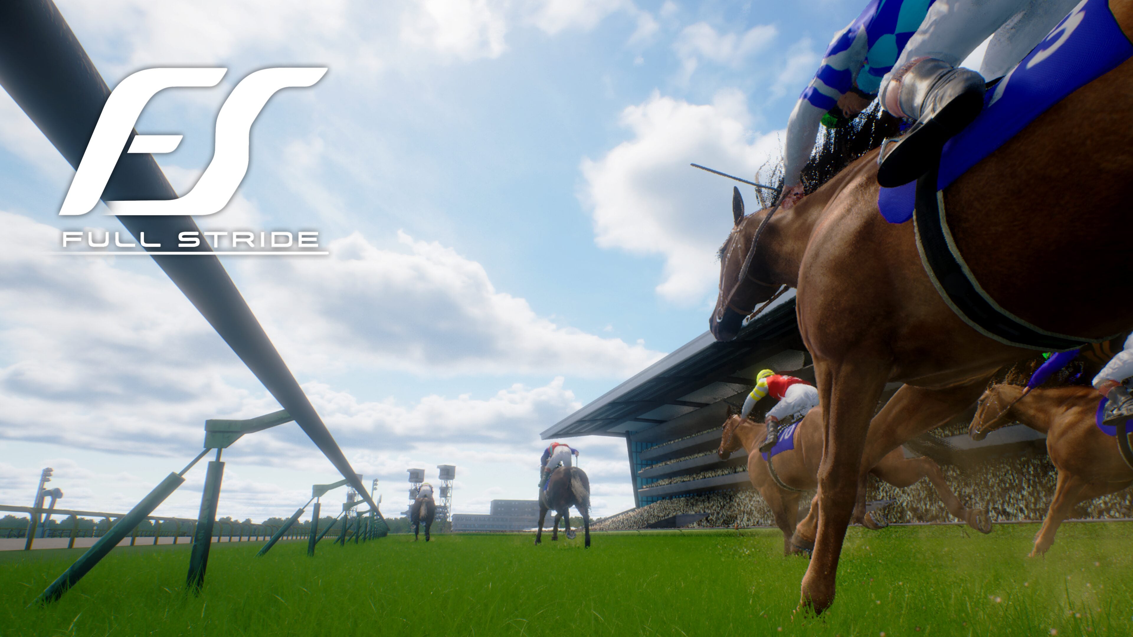 Full-Stride-Ann_12-17-25.jpg