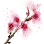 1bedb699d9020200317073829733.png