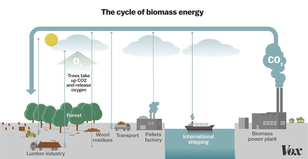 biomass-fuel.jpg