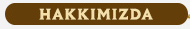 19t8ygn.png