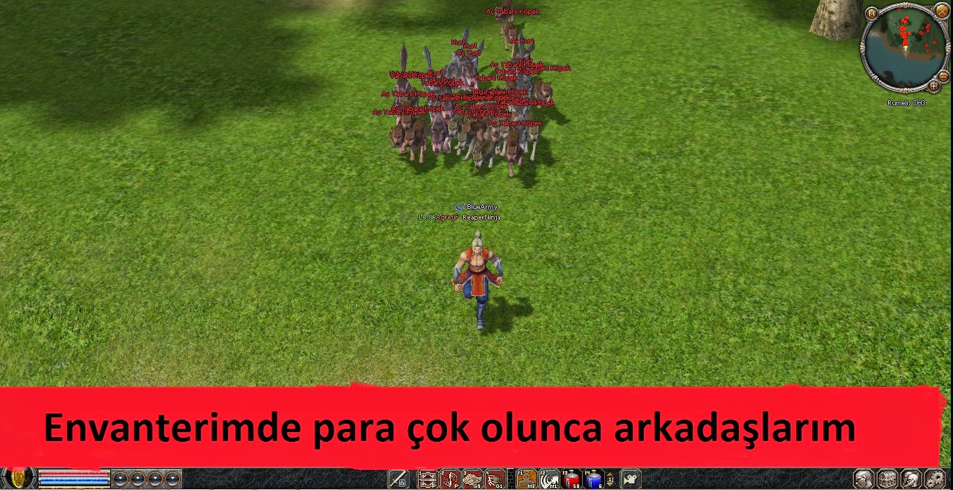 caps1.jpg