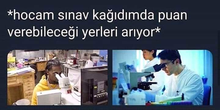 4f3bb822ca1e90c31335dc891bd3e8b3.jpg