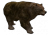 Bera.png